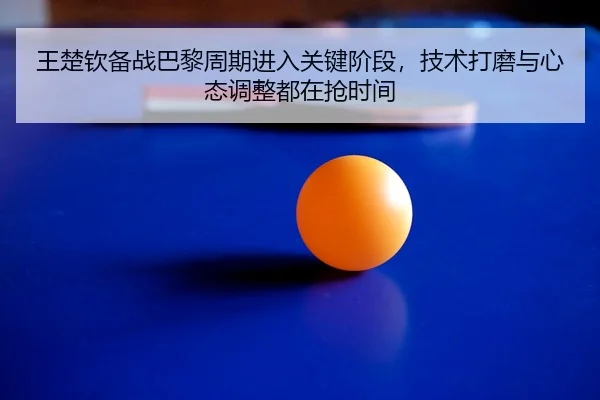 王楚钦备战巴黎周期进入关键阶段，技术打磨与心态调整都在抢时间